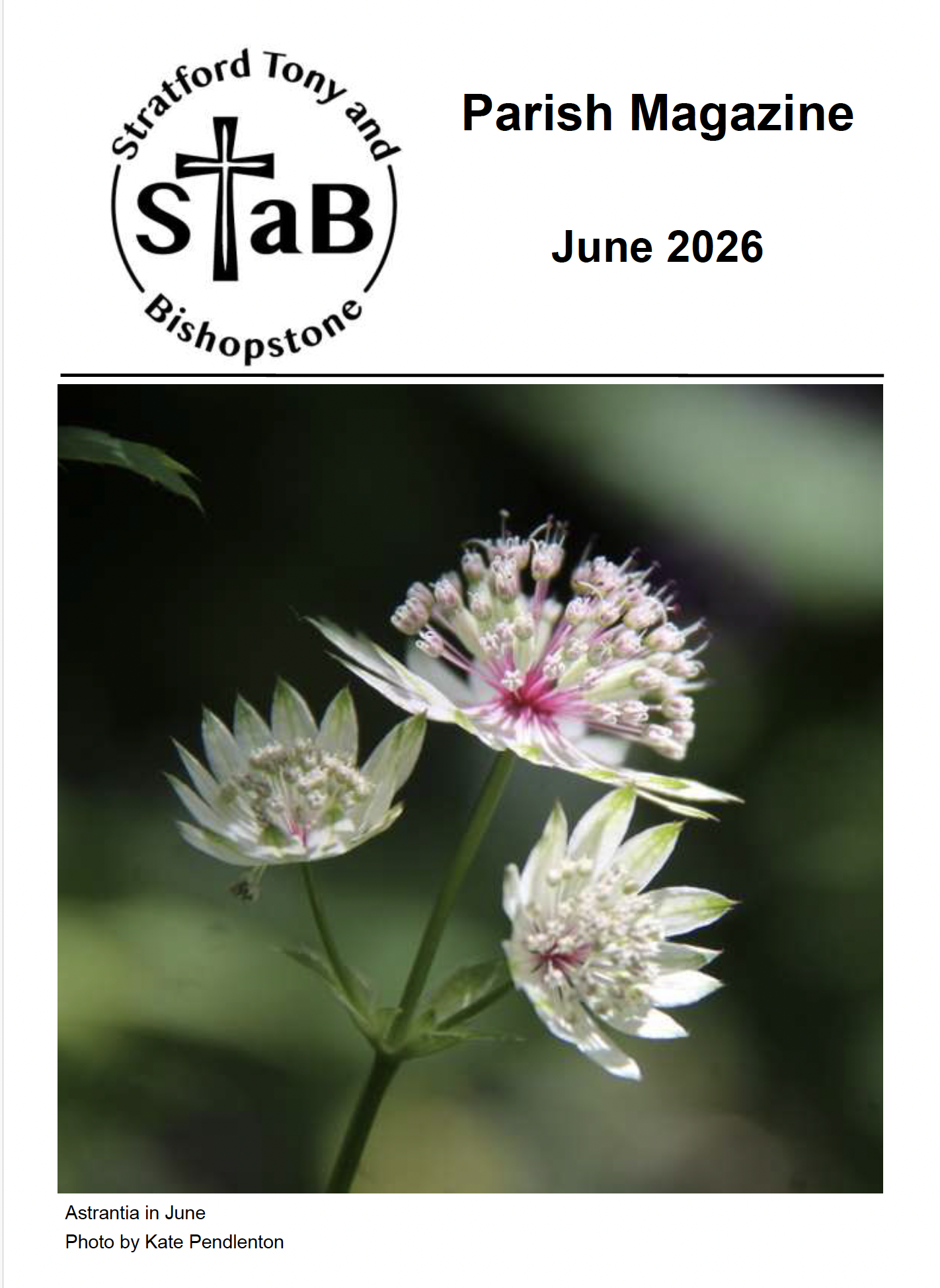 Cover of STaB April 2026